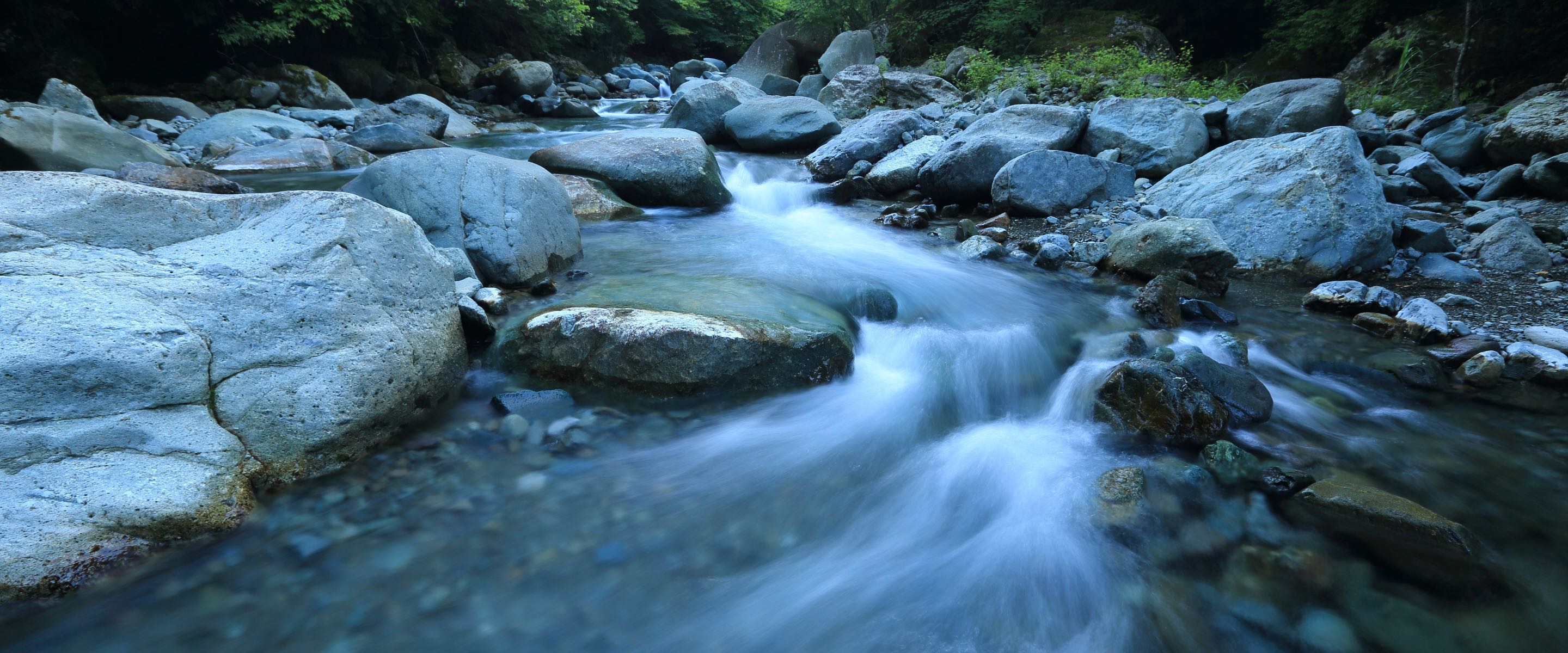 Foto eines Waldbachs mit schnell fließendem Wasser und Felsen.