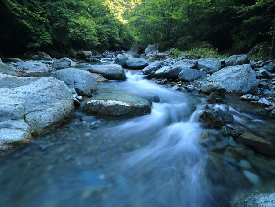 Foto eines Waldbachs mit schnell fließendem Wasser und üppiger Vegetation.