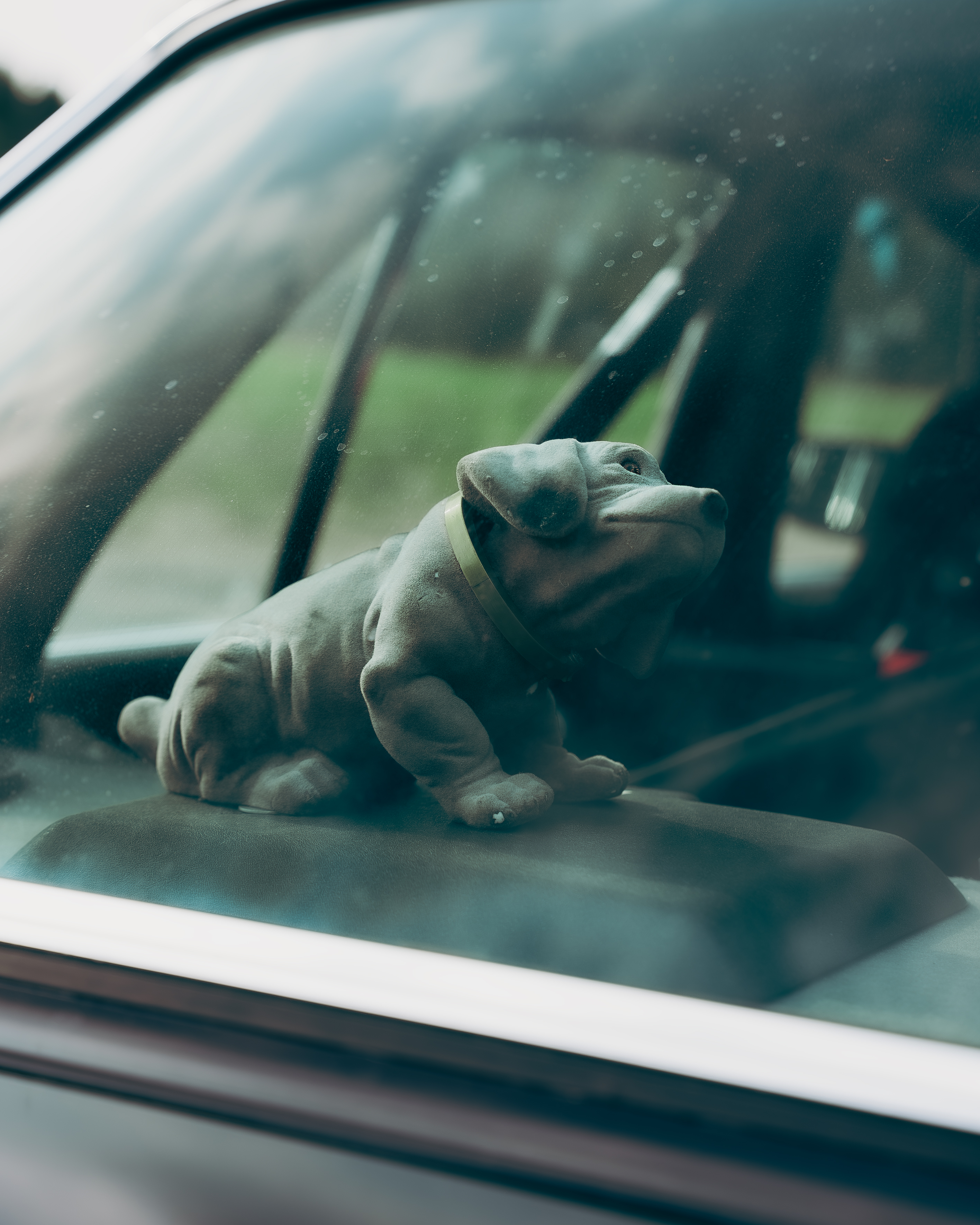 Mercedes-Benz 280E W123 Wackelhund Innenraum Nahaufnahme eines Wackelhunds auf dem Armaturenbrett des Mercedes-Benz 280E W123, ein Kultdetail klassischer Autos.