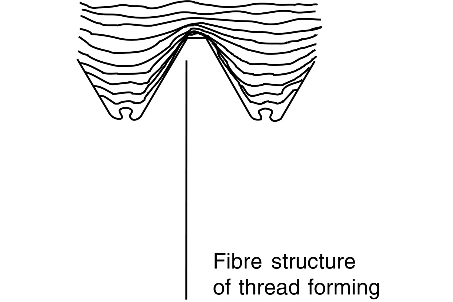 Structure fibreuse filetage Illustration de la structure fibreuse lors du formage de filetage avec flux continu du matériau.